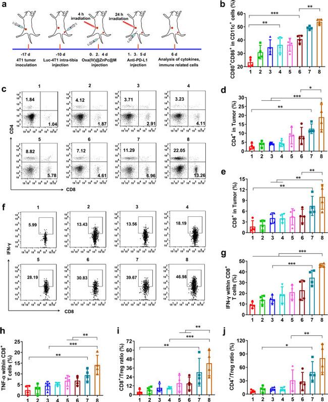 CD4 Antibody in Flow Cytometry (Flow)