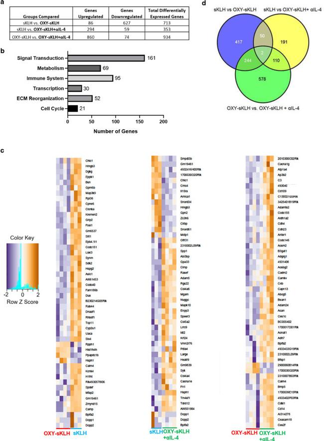 CD4 Antibody in Flow Cytometry (Flow)