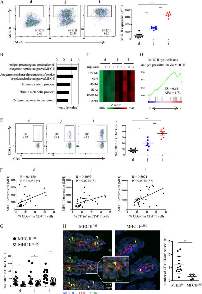 CD45.2 Antibody in Flow Cytometry (Flow)