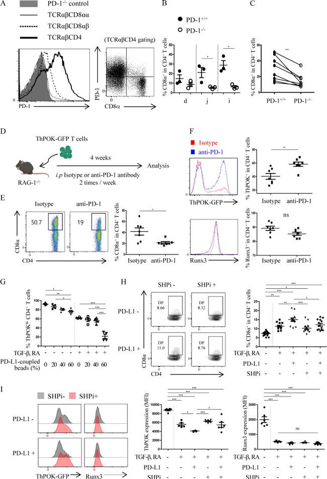 CD4 Antibody in Flow Cytometry (Flow)