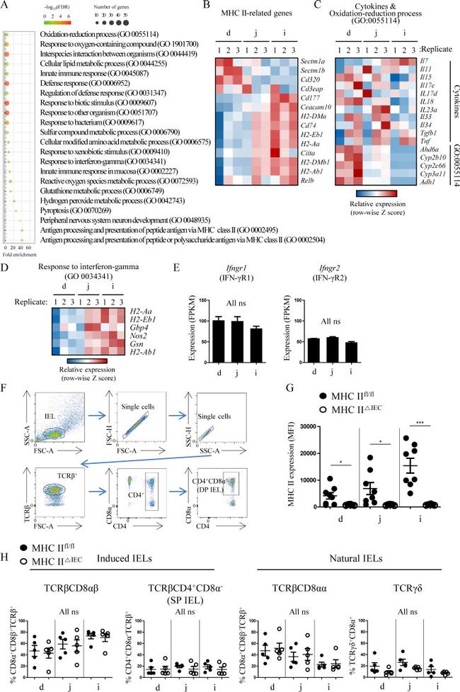 CD4 Antibody in Flow Cytometry (Flow)