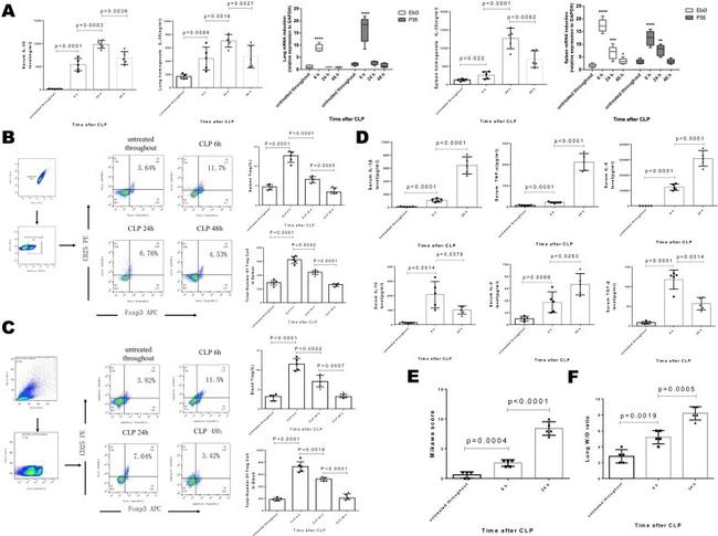 CD4 Antibody in Flow Cytometry (Flow)