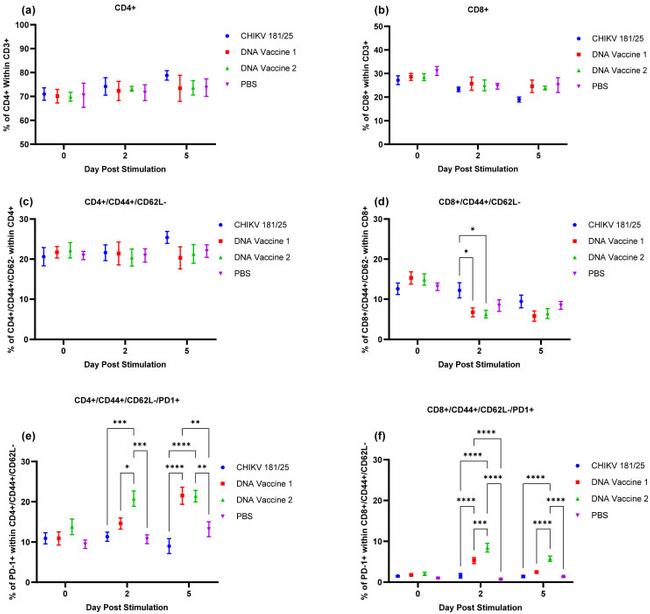 CD62L (L-Selectin) Antibody in Flow Cytometry (Flow)