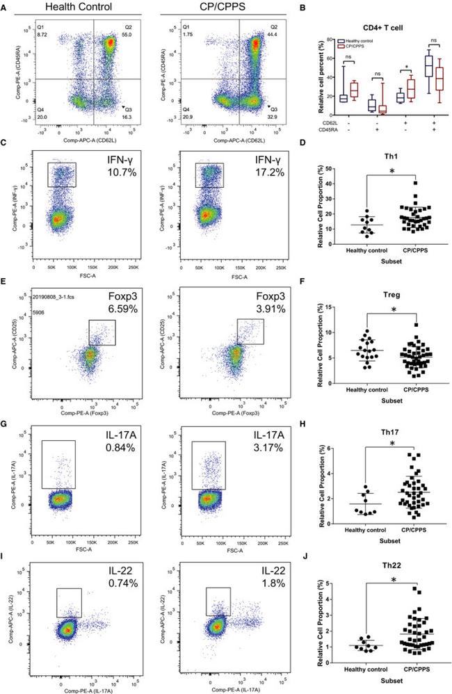 FOXP3 Antibody in Flow Cytometry (Flow)