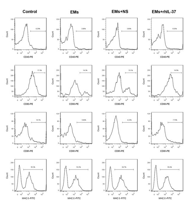 CD80 (B7-1) Antibody in Flow Cytometry (Flow)