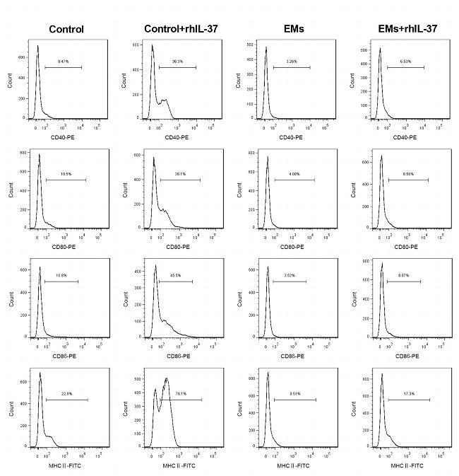 CD86 Antibody in Flow Cytometry (Flow)