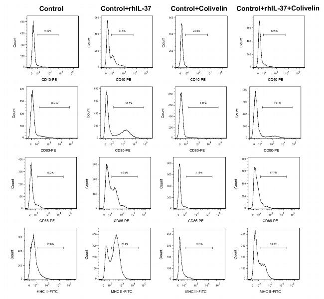 CD80 (B7-1) Antibody in Flow Cytometry (Flow)