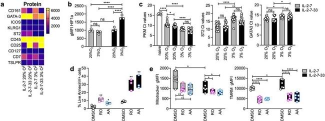 IL-33R (ST2) Antibody in Flow Cytometry (Flow)