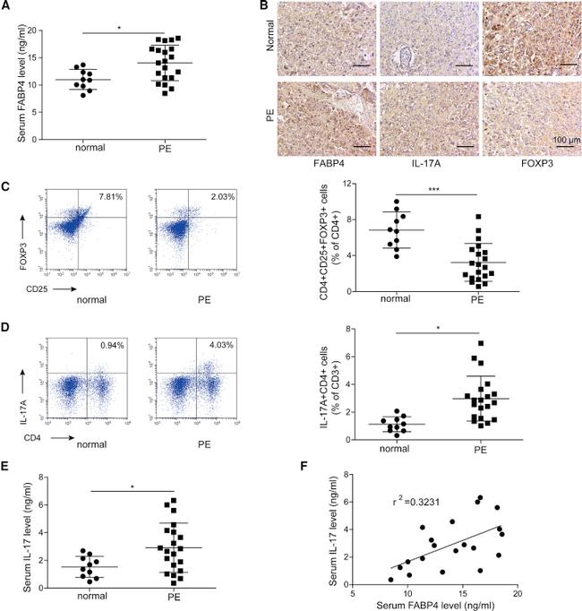 IL-17A Antibody in Flow Cytometry (Flow)