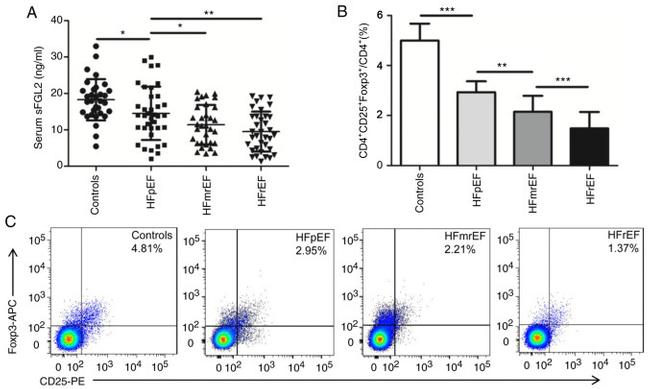 FOXP3 Antibody in Flow Cytometry (Flow)