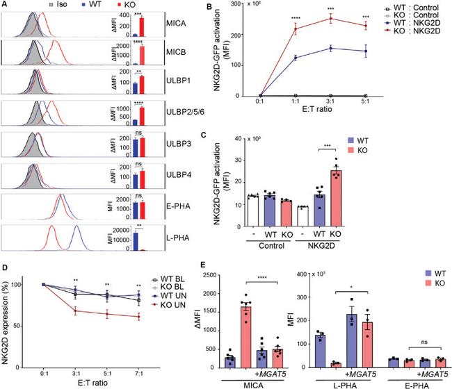 CD4 Antibody in Neutralization (Neu)