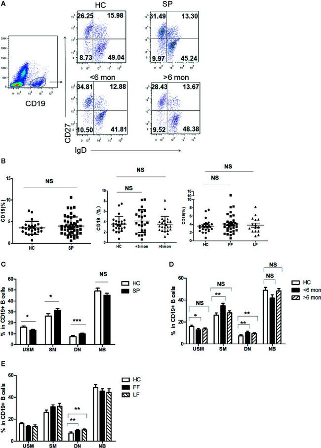 IgD Antibody in Flow Cytometry (Flow)