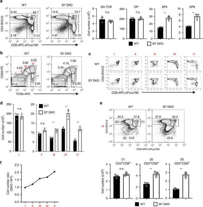 TCR beta Antibody in Flow Cytometry (Flow)