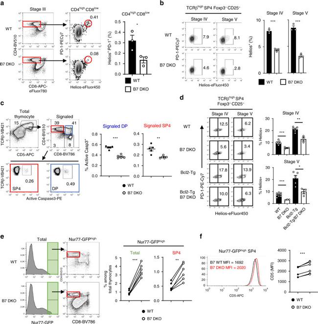 HELIOS Antibody in Flow Cytometry (Flow)