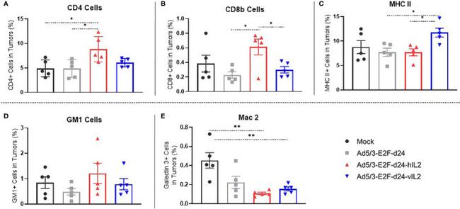 MHC Class II (I-Ek) Antibody in Flow Cytometry (Flow)