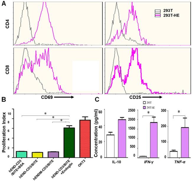 CD8a Antibody in Flow Cytometry (Flow)