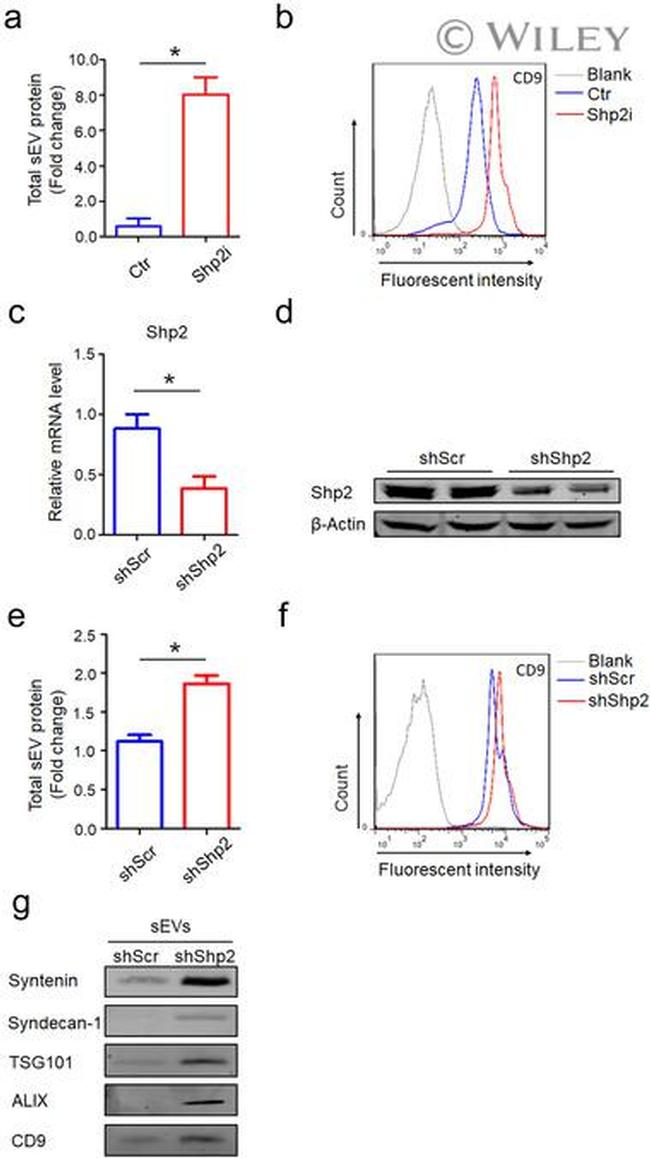 CD9 Antibody in Flow Cytometry (Flow)