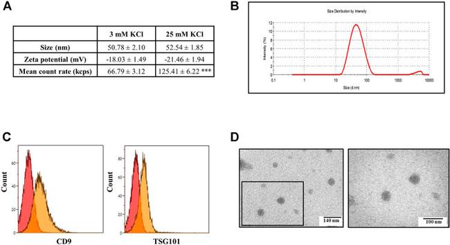 CD9 Antibody in Flow Cytometry (Flow)