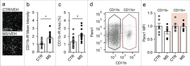 CD11b/c Antibody in Flow Cytometry (Flow)