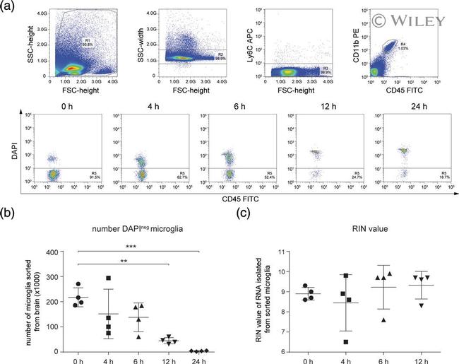 CD45 Antibody in Flow Cytometry (Flow)