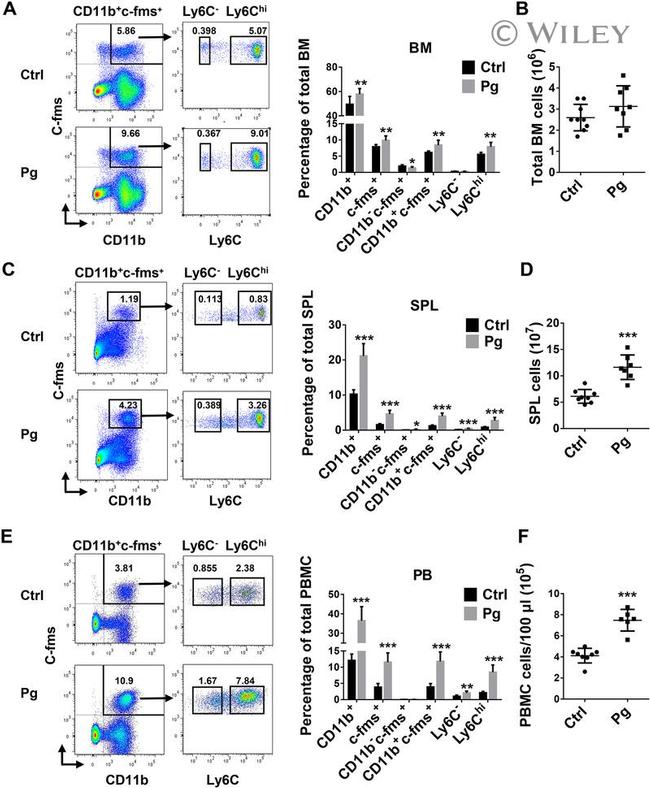 CD11b Antibody in Flow Cytometry (Flow)