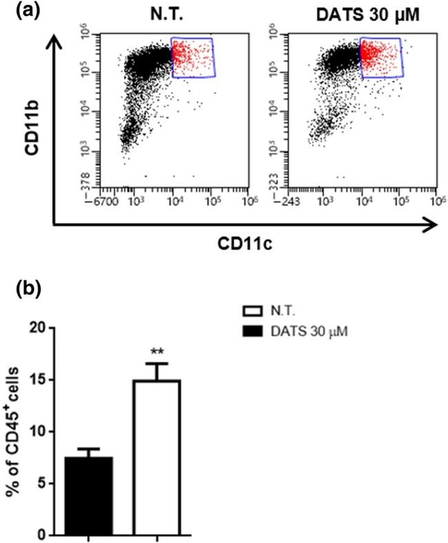 CD11c Antibody in Flow Cytometry (Flow)