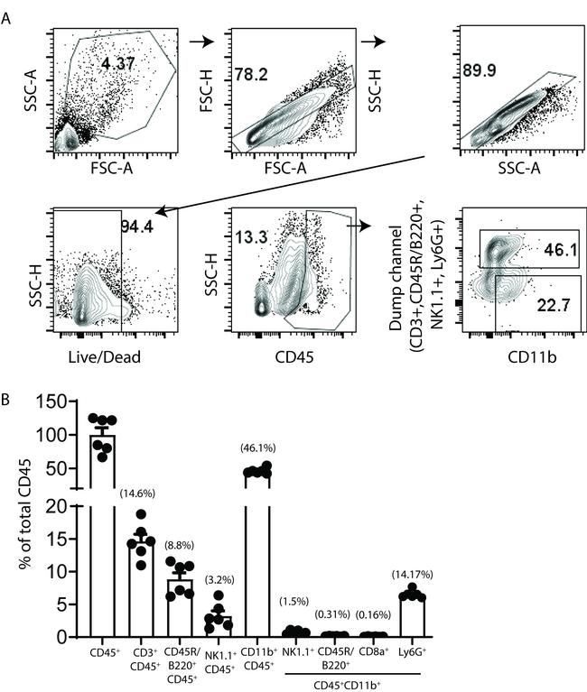 CD11b Antibody in Flow Cytometry (Flow)