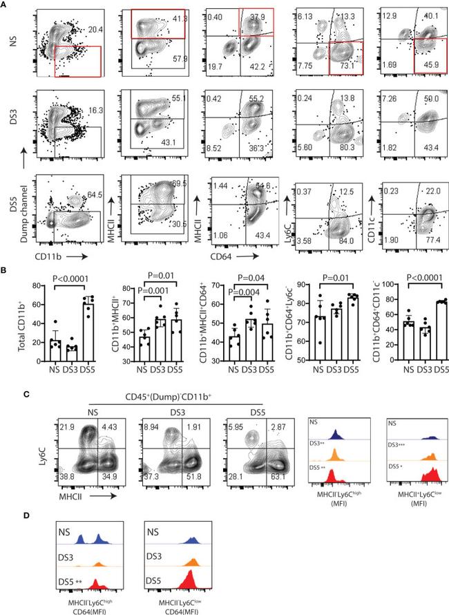 CD11b Antibody in Flow Cytometry (Flow)