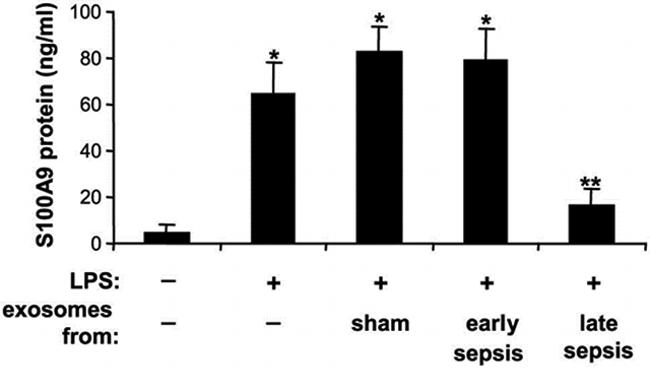 Ly-6G/Ly-6C Antibody in Flow Cytometry (Flow)