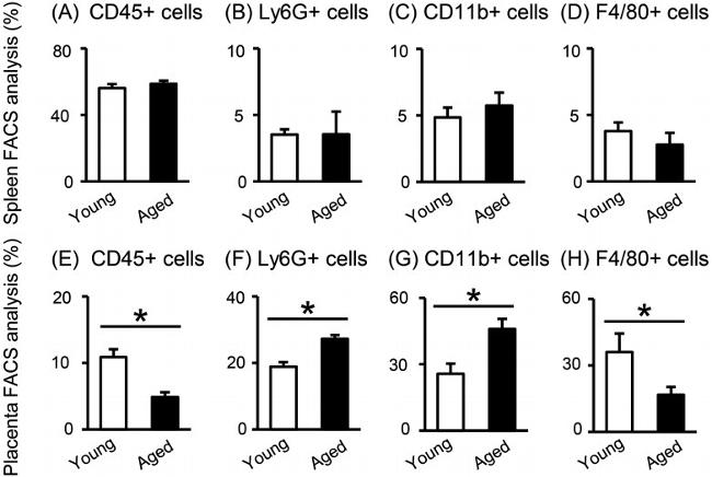 CD11b Antibody in Flow Cytometry (Flow)