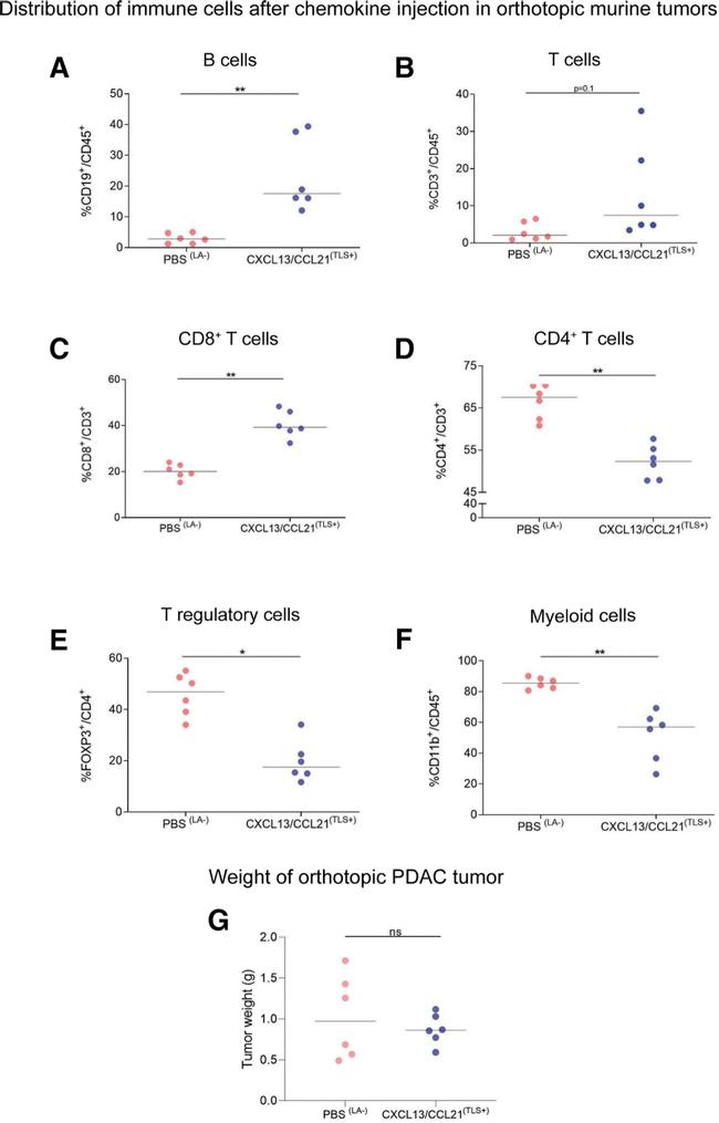 CD11b Antibody in Flow Cytometry (Flow)