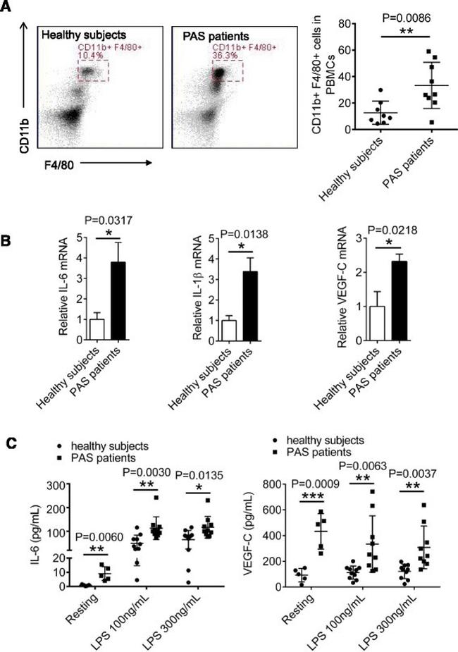 CD11b (activation epitope) Antibody in Flow Cytometry (Flow)