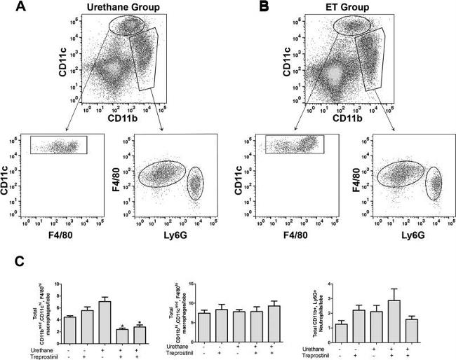 F4/80 Antibody in Flow Cytometry (Flow)