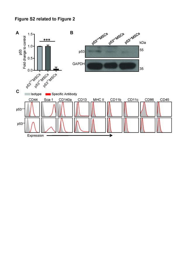 Ly-6A/E (Sca-1) Antibody in Flow Cytometry (Flow)