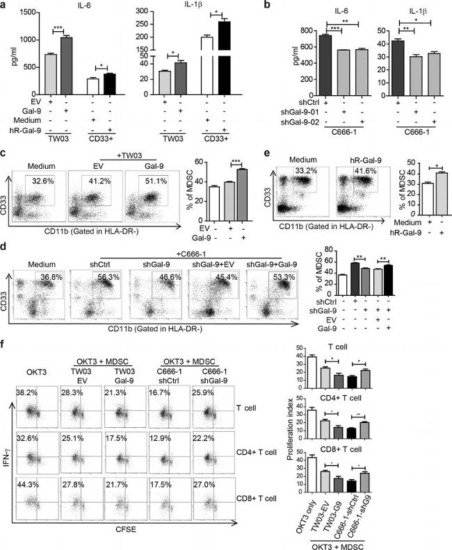 CD11b Antibody in Flow Cytometry (Flow)