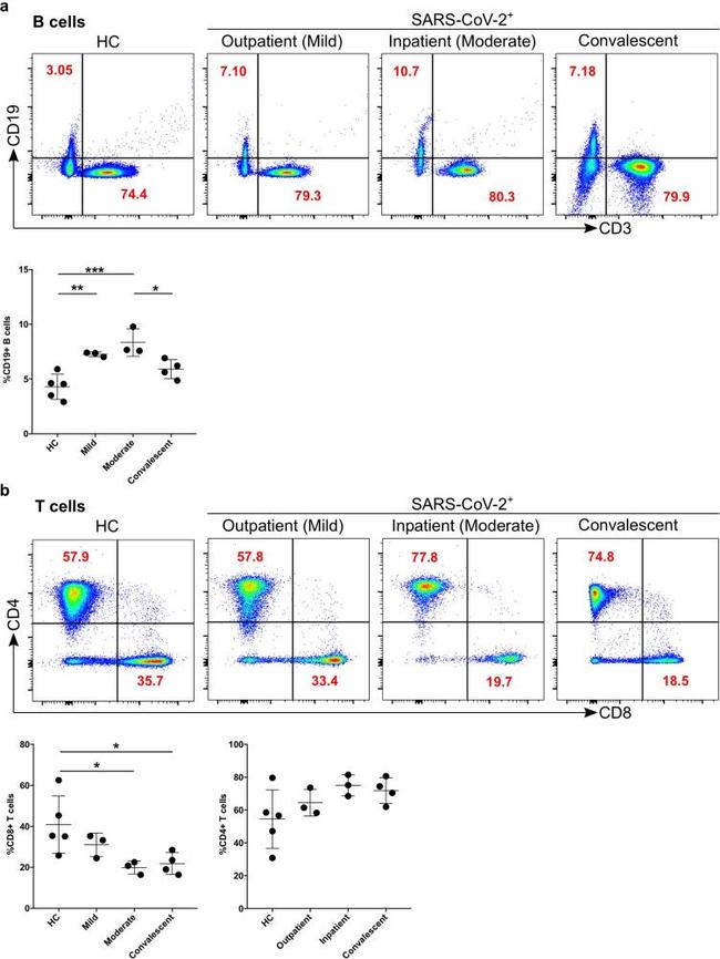 CD19 Antibody in Flow Cytometry (Flow)