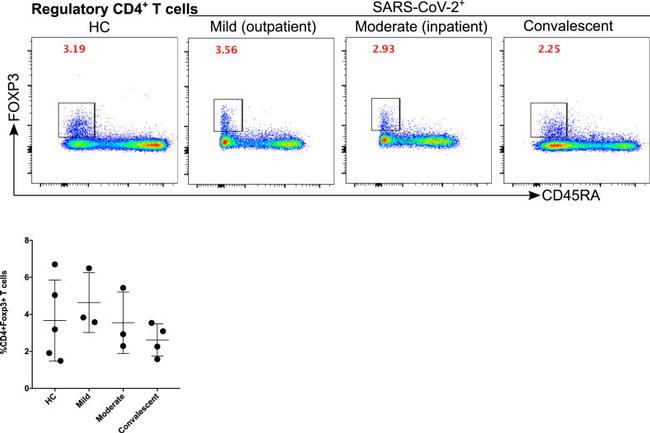 FOXP3 Antibody in Flow Cytometry (Flow)