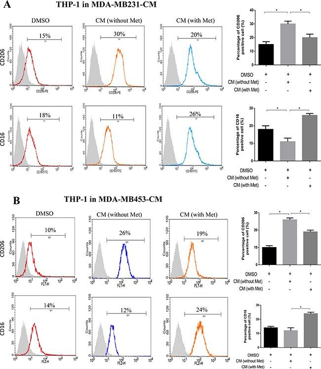 CD206 (MMR) Antibody in Flow Cytometry (Flow)