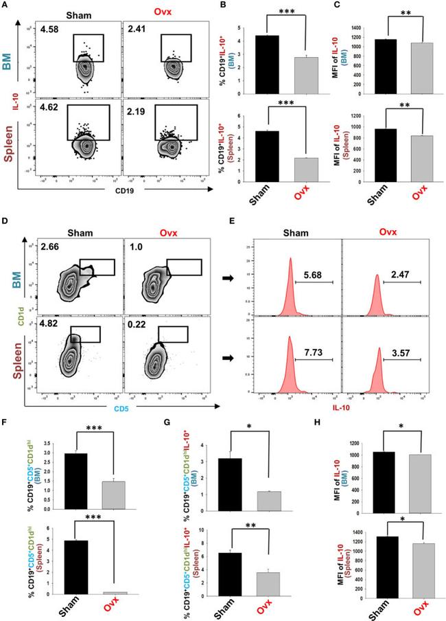 CD19 Antibody in Flow Cytometry (Flow)