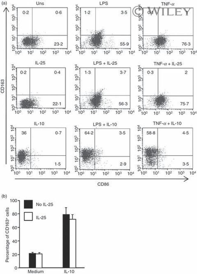 CD23 Antibody in Flow Cytometry (Flow)