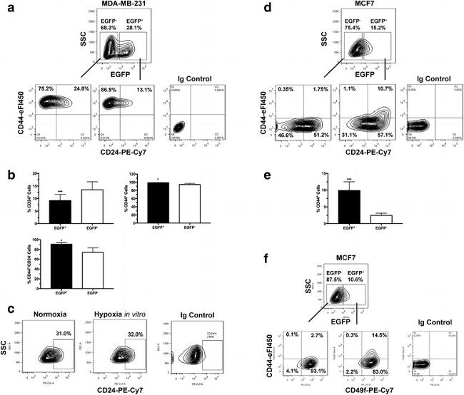 CD24 Antibody in Flow Cytometry (Flow)