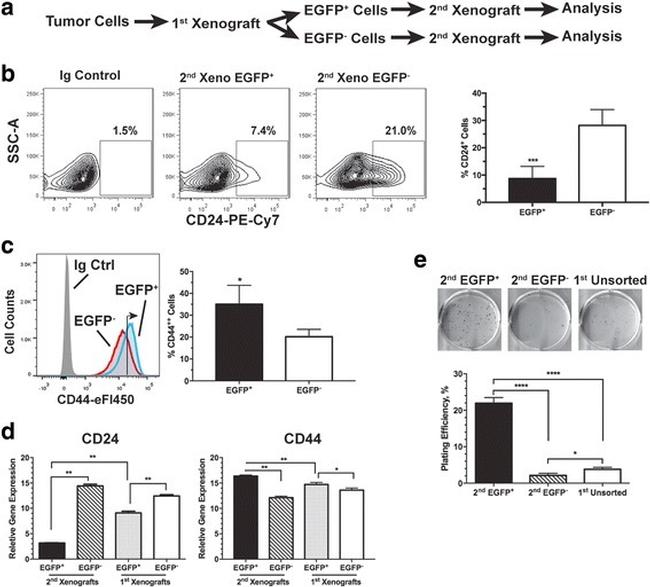 CD24 Antibody in Flow Cytometry (Flow)