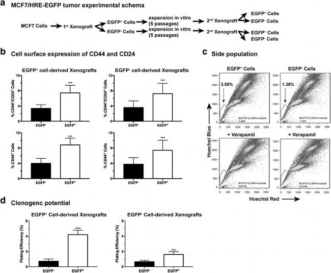 CD24 Antibody in Flow Cytometry (Flow)