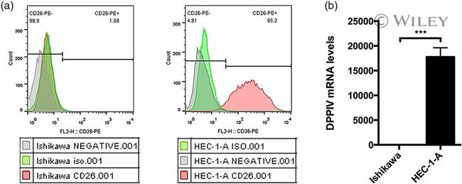 CD26 Antibody in Flow Cytometry (Flow)