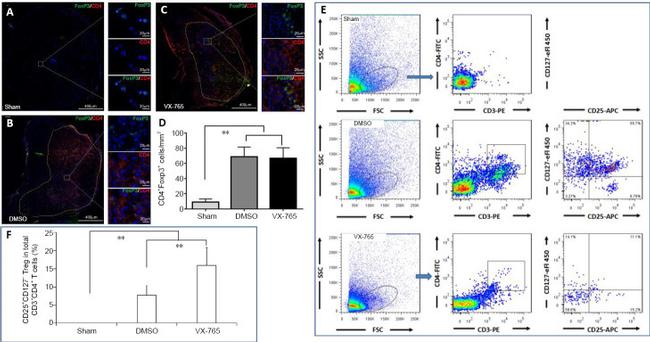 CD127 Antibody in Flow Cytometry (Flow)