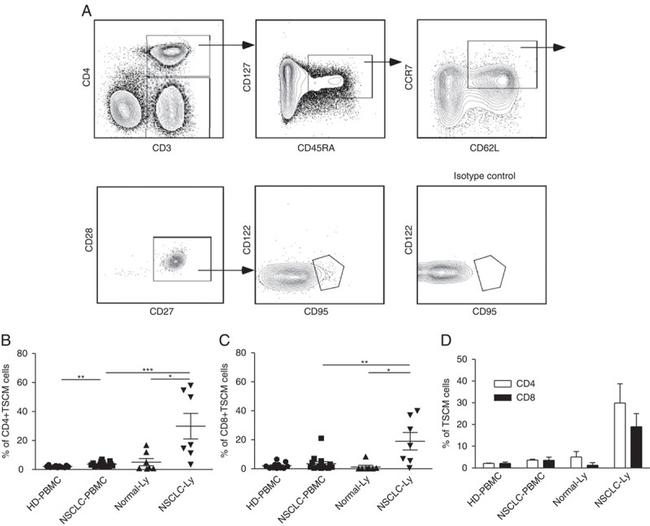 CD127 Antibody in Flow Cytometry (Flow)