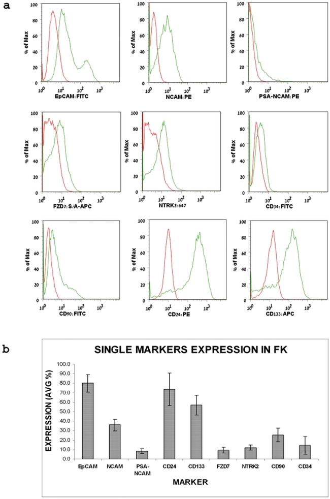 CD24 Antibody in Flow Cytometry (Flow)