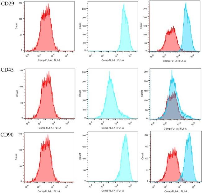 CD90 Antibody in Flow Cytometry (Flow)