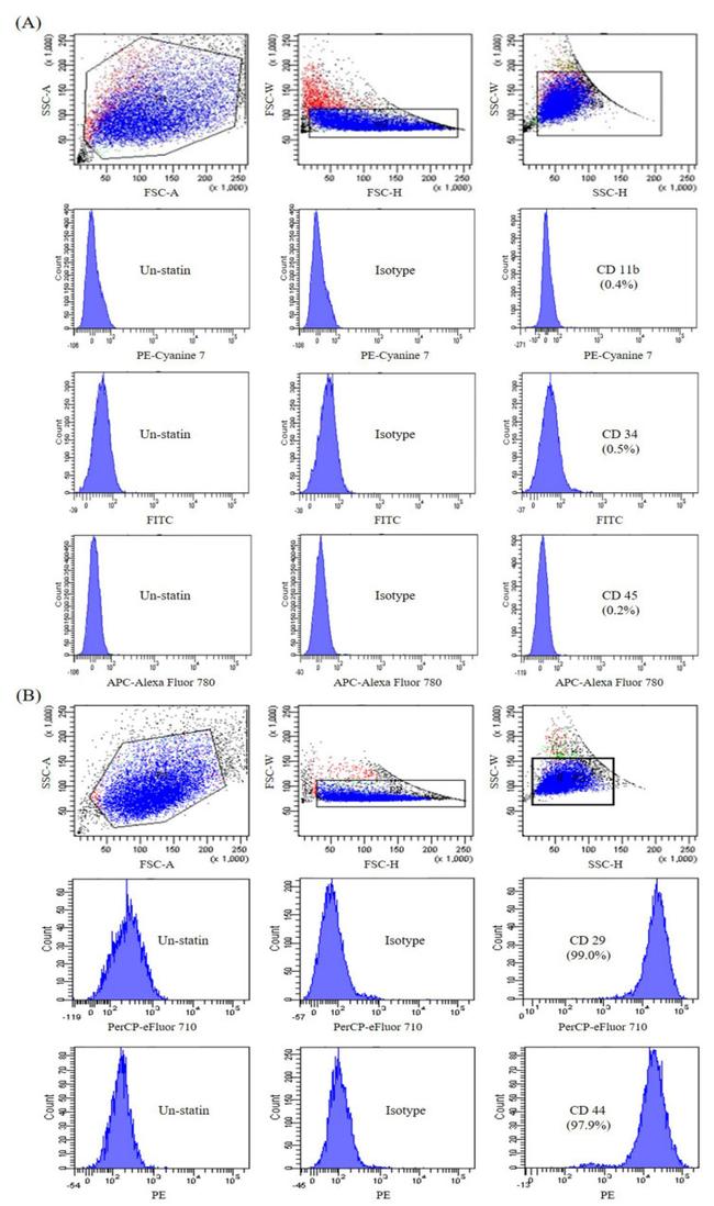 CD44 Antibody in Flow Cytometry (Flow)