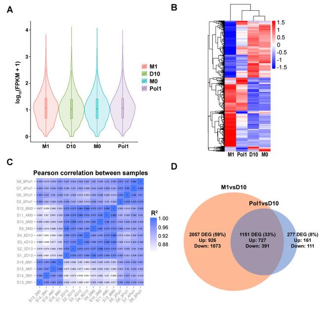 CD29 (Integrin beta 1) Antibody in Flow Cytometry (Flow)